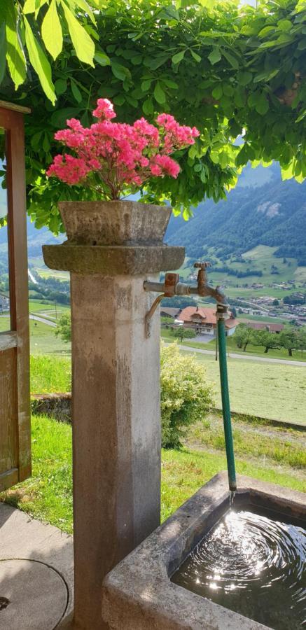 Gasthof Engelberg Scharnachtal ภายนอก รูปภาพ