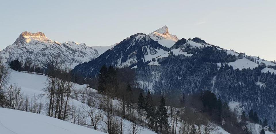Gasthof Engelberg Scharnachtal ภายนอก รูปภาพ